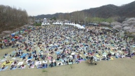 2019 대청호대덕뮤직페스티벌, 대세 축제 자리매김!