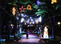 2019 대전 서구힐링 아트페스티벌 대중교통과 함께