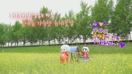 아산시 신규 SNS콘텐츠,온궁이와 온양이가 간다 인기몰이