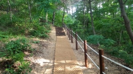 대전동구, 천동 샘골근린공원 산책로 새단장