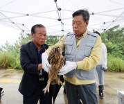 태안군, 천연기념물 제324-2호 수리부엉이 방사