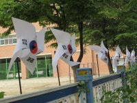 대전서구, 함께해요, 태극기달기 운동