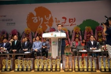 서천군, 대전MBC배 서천국제오픈태권도대회 폐막