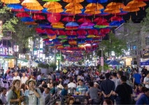 대덕e로움과 함께하는 대코(Daeco) 맥주페스티벌 시즌2