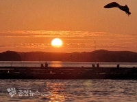 서산시 창리 바다쉼터사업, 어촌경제에 활력 불어넣어