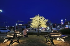 보령시, 내년 1월말까지 시가지 야간경관조명 반짝반짝