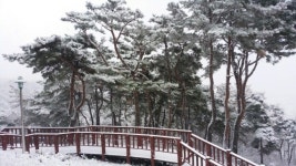 예산군, 봉수산자연휴양림 동절기 안전점검