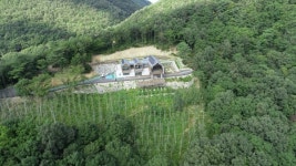 명절 증후군은 숲에서 해소해요