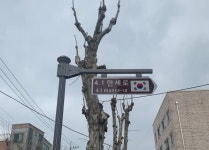대전 중구, 4.1만세로 명예도로 안내시설물 설치