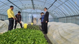 이건호 당진시 부시장, 영농철 맞아 현장행보