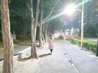 대전중구, 태평초등학교 인근이 환해졌어요