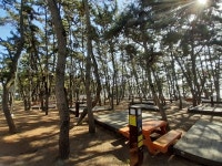 보령시, 해수욕장 공중이용시설 사용료 징수민간위탁 운영자 모집