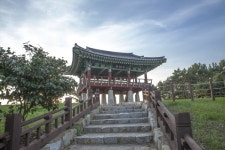 서천 마량리 동백나무숲 재개장… 다시 돌아온 서해의 일몰 광경