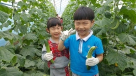 천안시, 건강한 농촌체험으로 떠나보세요