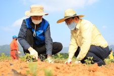 [포토]서산시청공무원노동조합, 고북 국화 축제 준비 현장 찾아 봉사