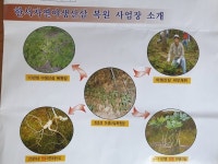 한서산삼협회 홍영선 회장, 전통심마니 혼을 심다