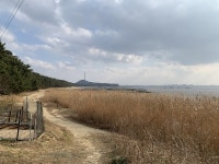 장항 해찬솔길, 꽃과 소나무ㆍ억새와 갯벌이 한 곳에