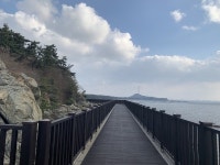 장항 '해찬솔길', 꽃과 소나무ㆍ억새와 갯벌이 한 곳에