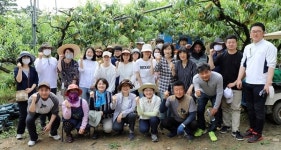 세종시의회, 복숭아 농가 찾아 일손 도와