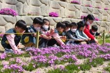 대전 동구, 대동천 웃음꽃 정원 조성