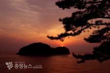 천리포수목원, 여름철 운영시간 1시간 연장