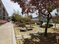 금산군, 내년 명상숲 조성사업 공모 선정 1억2000만 원 확보