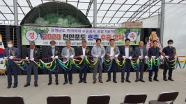 천안 하늘그린 거봉포도, 호주와 뉴질랜드 수출