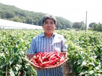 청양군, 2020 청양고추왕ㆍ청양구기자왕 선정
