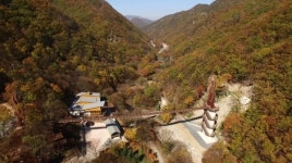 금산군, 산림문화타운 운영 재개