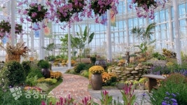 국립세종수목원, 사계절전시온실 관람객 눈길