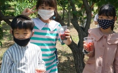 [창의인재성장학교] 산흥초, 함께 성장·열매 맺는 행복교육 실현