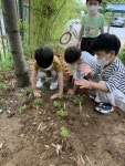 세종시교육청, 3일 세종형 숲생태교육 나눔마당 개최