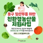 대전 동구, 임산부 위한 친환경농산물 지원 추진