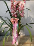 공주시, 꽃도 선물하고 지역화훼 농가도 돕고