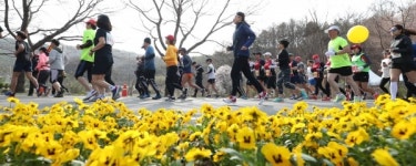 대전 동구, 코로나 19 극복 언택트 대청호 벚꽃길 마라톤 대회 개최