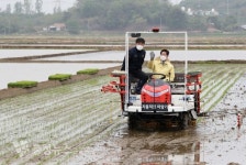 충남도 자율주행과 드론으로 벼 이앙·직파