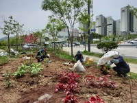 아산시, 시민과 함께 만들어가는 정원 문화 확산