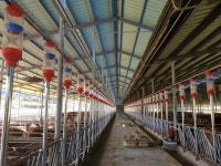 보령시, 축산농가의 악취저감 및 퇴비 부숙도 개선 지원 1석 2조효과