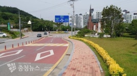 예산군 도로변 황금사찰나무 눈길