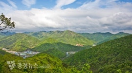 [특집기획] 완성형 휴양지, 보령시의 여름이야기