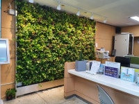 금산군, 정원형 힐링 휴게공간 스마트가든 조성