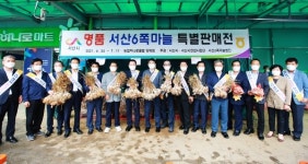서산6쪽마늘ㆍ팔봉산감자, 집중판매로 호황