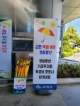 서천군, 양심양산 무료 대여 서비스 실시