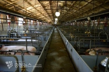 가축질병 원천차단 홍성군, 방역인프라 지원사업 추진