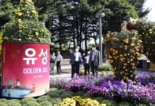 유성구, 국화전시회 차질없이 착착