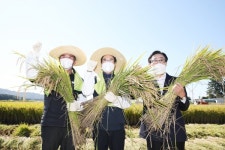 김동일 보령시장, 농업인과 함께 벼 수확의 기쁨 나눠