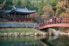 태안군, 멱 감고 뛰놀던 추억의 샘골 도시공원으로 재탄생