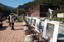 한밭대, 2021 한밭대 수통골 문화축제 성료