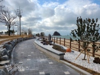충남산림자원연구소, 꽃지해안공원 가로화단 경관 개선 완료