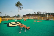 태안군,  반려동물 놀이터 인기